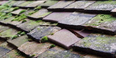 Westbury On Severn roof repair costs